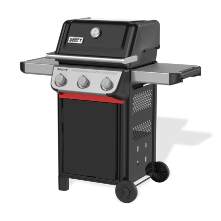 Spirit E-310